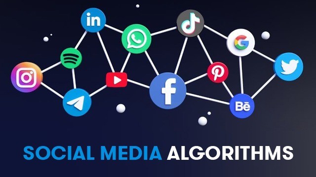 social media algorithms